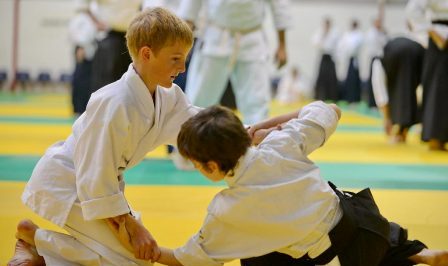 Ne confondez pas aïkido et karaté pour les enfants