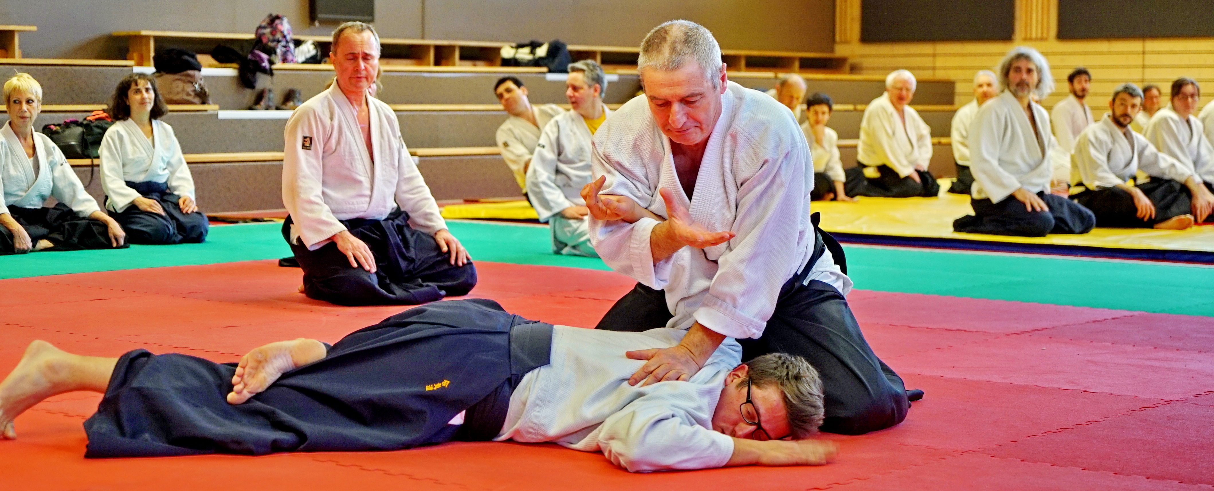 A. Peyrache shihan aikido ex eleve de N. Tamura a quitté les fédérations FFLAB FFAB fondateur d'un dojo mondial